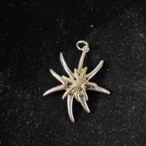 Two Toned Starburst Pendant